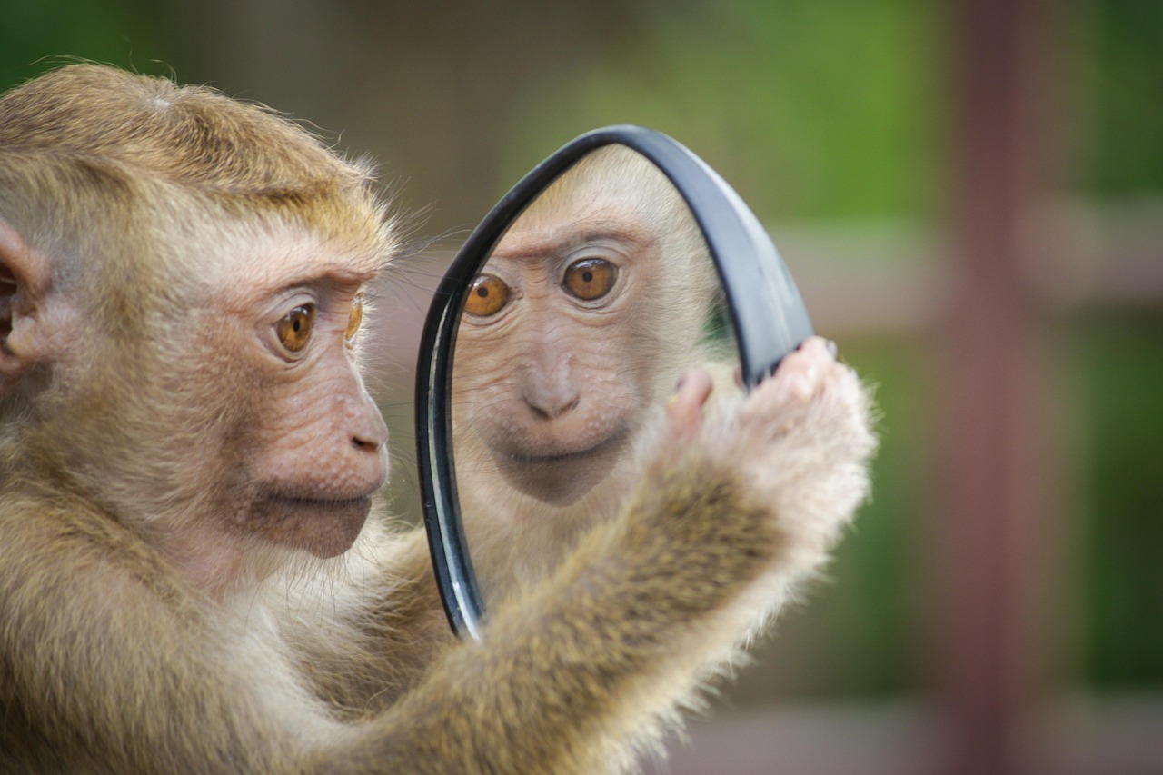 Zelfvertrouwen en beauty: hoe uiterlijk en innerlijk samenkomen